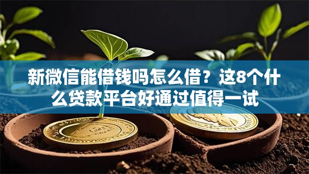 新微信能借钱吗怎么借？这8个什么贷款平台好通过值得一试