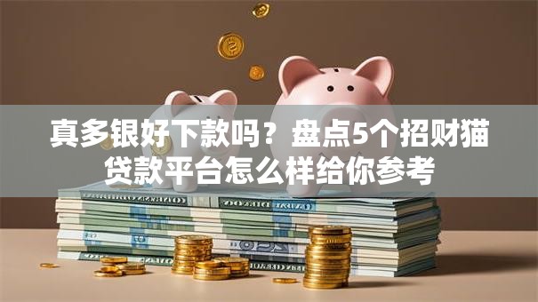 真多银好下款吗？盘点5个招财猫贷款平台怎么样给你参考