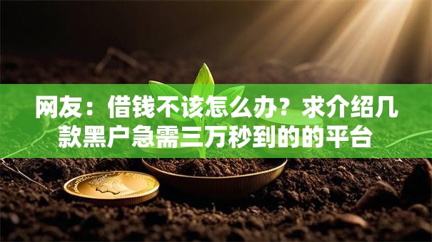 网友：借钱不该怎么办？求介绍几款黑户急需三万秒到的的平台