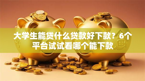 大学生能贷什么贷款好下款？6个平台试试看哪个能下款