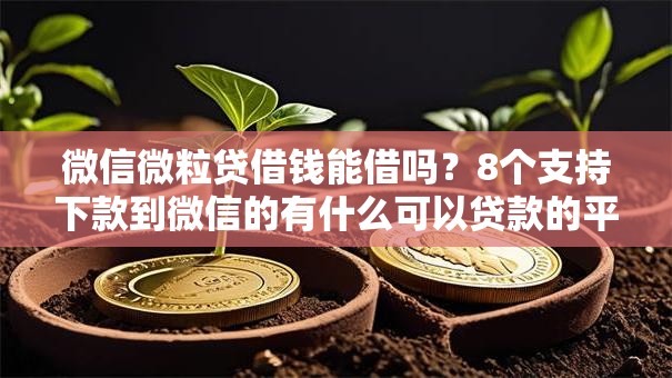 微信微粒贷借钱能借吗？8个支持下款到微信的有什么可以贷款的平台