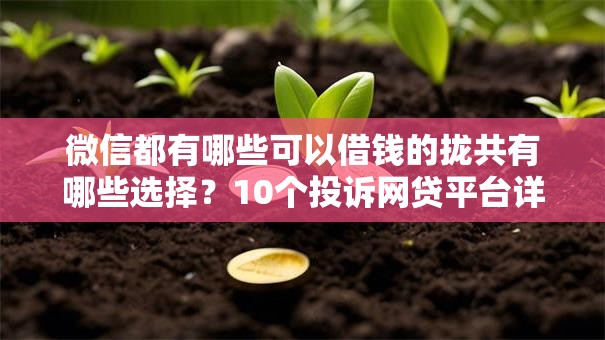 微信都有哪些可以借钱的拢共有哪些选择？10个投诉网贷平台详解