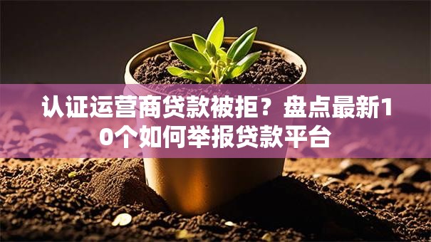 认证运营商贷款被拒？盘点最新10个如何举报贷款平台