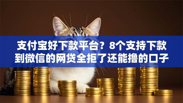 支付宝好下款平台？8个支持下款到微信的网贷全拒了还能撸的口子