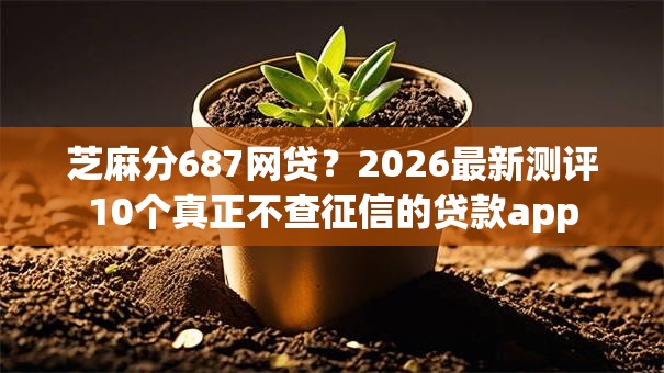 芝麻分687网贷?2026最新测评10个真正不查征信的贷款app 芝麻分687网贷?2026最新测评10个真正不查征信的贷款app