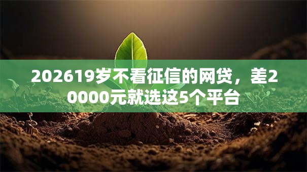 202619岁不看征信的网贷，差20000元就选这5个平台