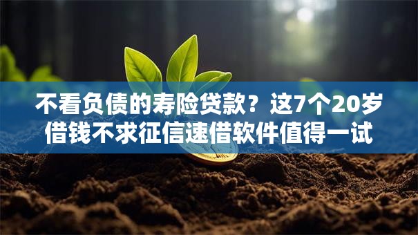 不看负债的寿险贷款？这7个20岁借钱不求征信速借软件值得一试