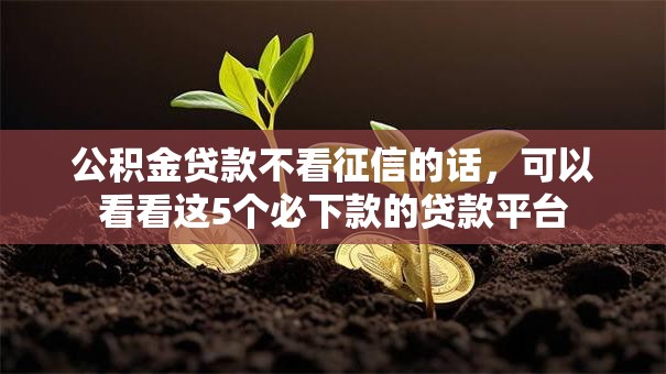 公积金贷款不看征信的话,可以看看这5个必下款的贷款平台 公积金贷款不看征信的话,可以看看这5个必下款的贷款平台
