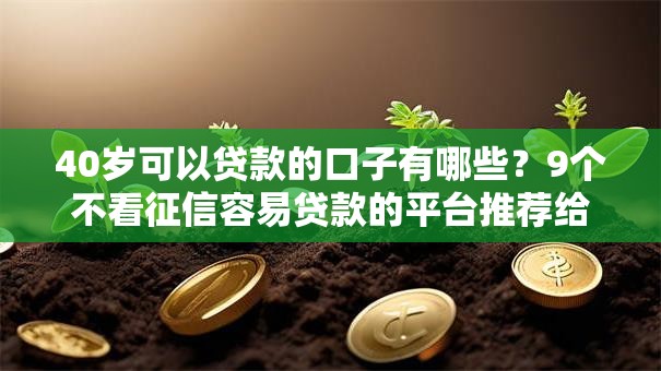 40岁可以贷款的口子有哪些？9个不看征信容易贷款的平台推荐给你