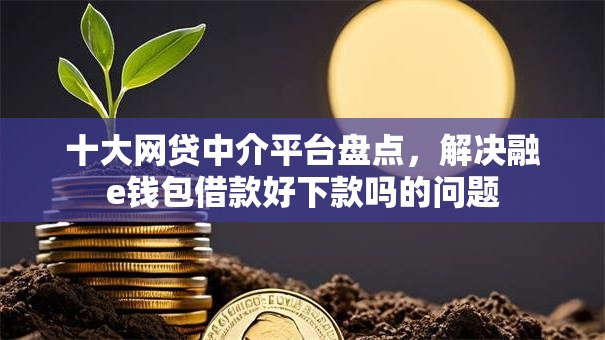 十大网贷中介平台盘点，解决融e钱包借款好下款吗的问题