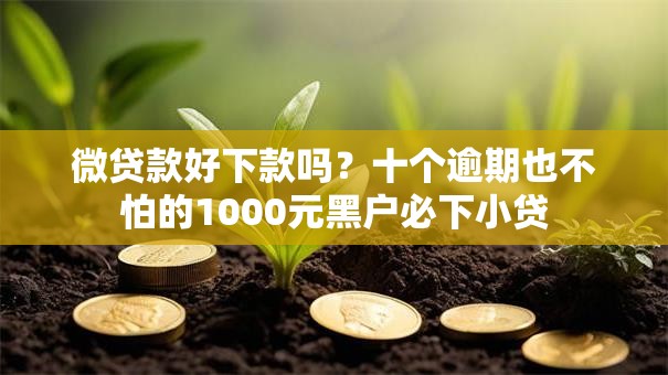 微贷款好下款吗?十个逾期也不怕的1000元黑户必下小贷 微贷款好下款吗?十个逾期也不怕的1000元黑户必下小贷