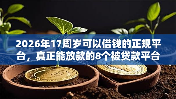 2026年17周岁可以借钱的正规平台，真正能放款的8个被贷款平台骗了怎么办推荐