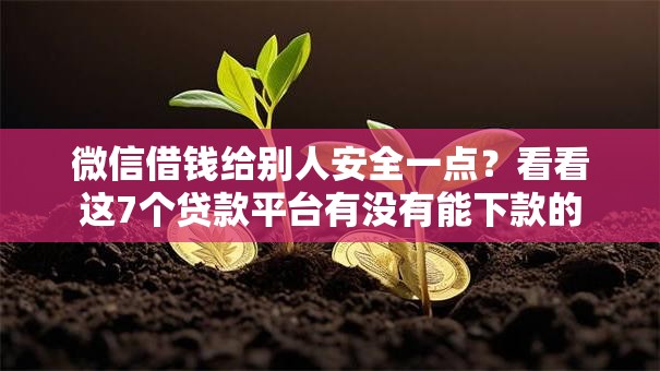 微信借钱给别人安全一点?看看这7个贷款平台有没有能下款的 微信借钱给别人安全一点?看看这7个贷款平台有没有能下款的