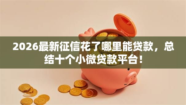 2026最新征信花了哪里能贷款,总结十个小微贷款平台! 2026最新征信花了哪里能贷款,总结十个小微贷款平台!