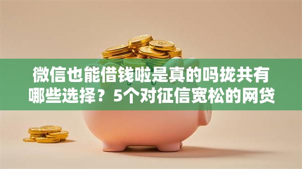 微信也能借钱啦是真的吗拢共有哪些选择?5个对征信宽松的网贷平台详解 微信也能借钱啦是真的吗拢共有哪些选择?5个对征信宽松的网贷平台详解