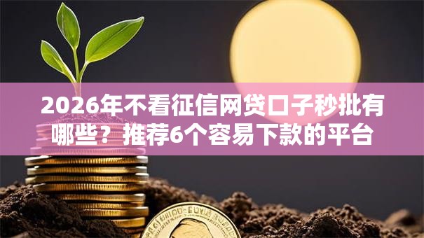 2026年不看征信网贷口子秒批有哪些？推荐6个容易下款的平台