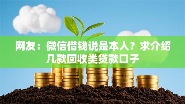 网友:微信借钱说是本人?求介绍几款回收类贷款口子 网友:微信借钱说是本人?求介绍几款回收类贷款口子