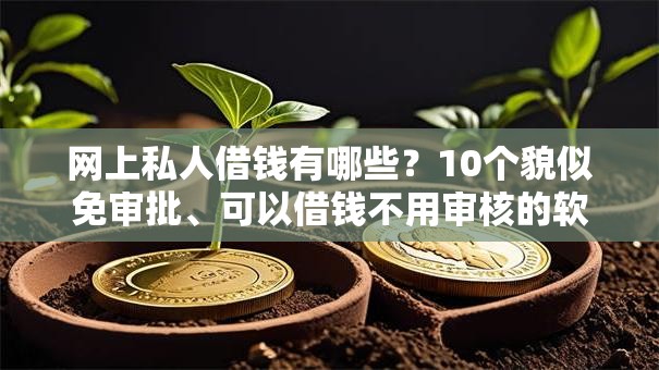 网上私人借钱有哪些?10个貌似免审批、可以借钱不用审核的软件合集 网上私人借钱有哪些?10个貌似免审批、可以借钱不用审核的软件合集