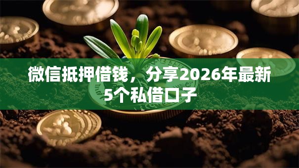 微信抵押借钱，分享2026年最新5个私借口子