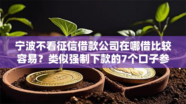 宁波不看征信借款公司在哪借比较容易？类似强制下款的7个口子参考