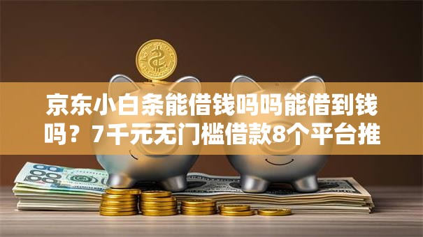 京东小白条能借钱吗吗能借到钱吗？7千元无门槛借款8个平台推荐