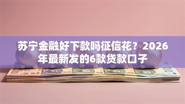 苏宁金融好下款吗征信花？2026年最新发的6款贷款口子