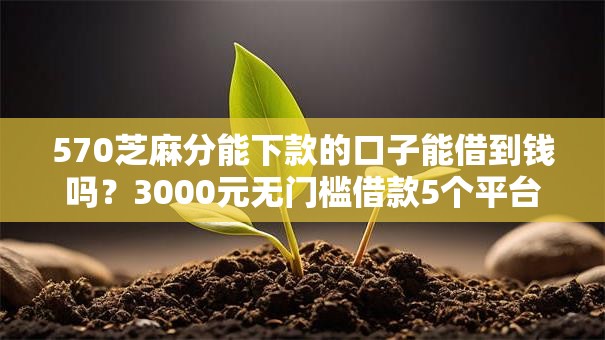 570芝麻分能下款的口子能借到钱吗?3000元无门槛借款5个平台推荐 570芝麻分能下款的口子能借到钱吗?3000元无门槛借款5个平台推荐
