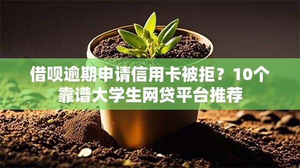 借呗逾期申请信用卡被拒？10个靠谱大学生网贷平台推荐