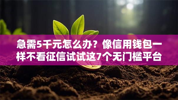 急需5千元怎么办？像信用钱包一样不看征信试试这7个无门槛平台