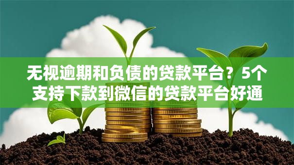 无视逾期和负债的贷款平台？5个支持下款到微信的贷款平台好通过