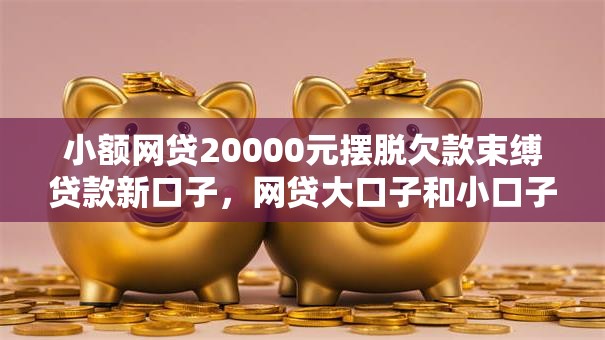 小额网贷20000元摆脱欠款束缚贷款新口子，网贷大口子和小口子的6个平台介绍