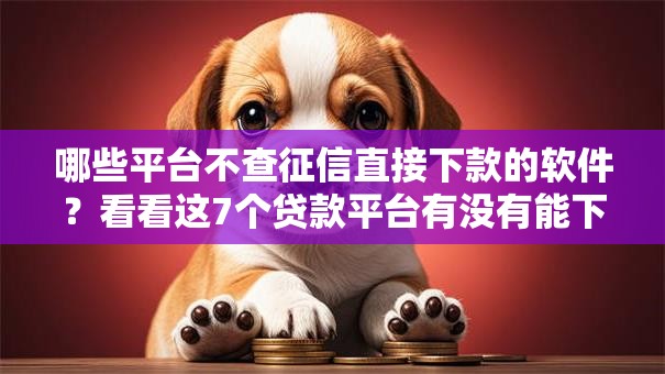 哪些平台不查征信直接下款的软件？看看这7个贷款平台有没有能下款的