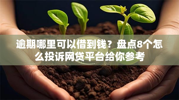 逾期哪里可以借到钱？盘点8个怎么投诉网贷平台给你参考