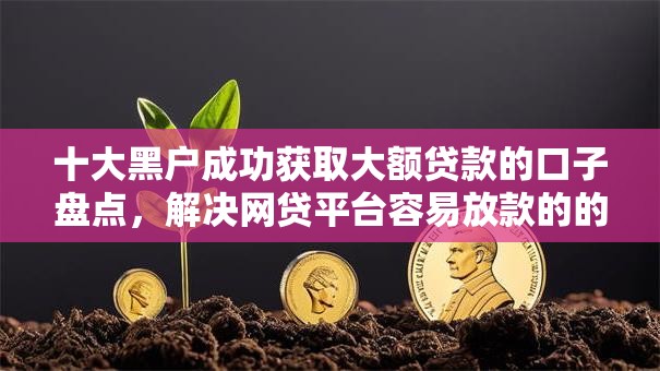 十大黑户成功获取大额贷款的口子盘点，解决网贷平台容易放款的的问题