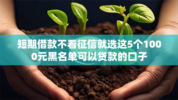 短期借款不看征信就选这5个1000元黑名单可以贷款的口子