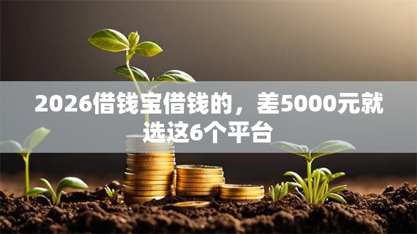 2026借钱宝借钱的，差5000元就选这6个平台