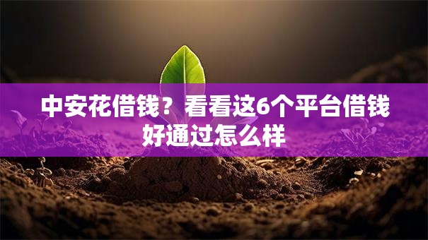 中安花借钱？看看这6个平台借钱好通过怎么样