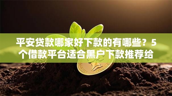 平安贷款哪家好下款的有哪些？5个借款平台适合黑户下款推荐给你