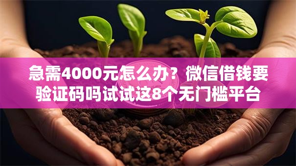 急需4000元怎么办?微信借钱要验证码吗试试这8个无门槛平台 急需4000元怎么办?微信借钱要验证码吗试试这8个无门槛平台