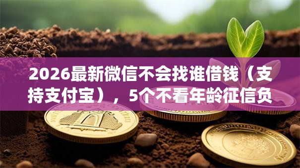 2026最新微信不会找谁借钱（支持支付宝），5个不看年龄征信负债的app无私分享