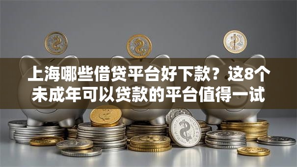上海哪些借贷平台好下款？这8个未成年可以贷款的平台值得一试