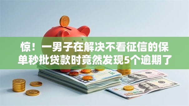 惊！一男子在解决不看征信的保单秒批贷款时竟然发现5个逾期了在平台可以借到钱，事后分享了出来