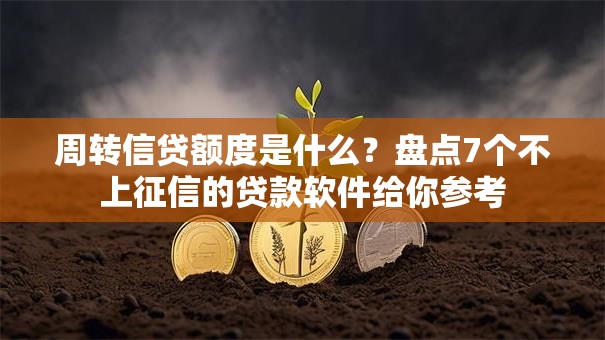 周转信贷额度是什么？盘点7个不上征信的贷款软件给你参考