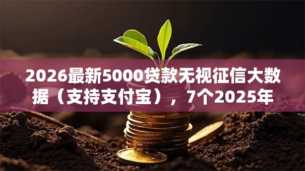 2026最新5000贷款无视征信大数据（支持支付宝），7个2025年12月借钱口子无私分享
