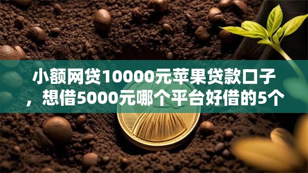 小额网贷10000元苹果贷款口子,想借5000元哪个平台好借的5个平台介绍 小额网贷10000元苹果贷款口子,想借5000元哪个平台好借的5个平台介绍