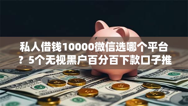 私人借钱10000微信选哪个平台？5个无视黑户百分百下款口子推荐