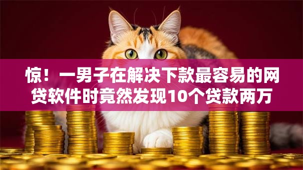 惊！一男子在解决下款最容易的网贷软件时竟然发现10个贷款两万的平台，事后分享了出来