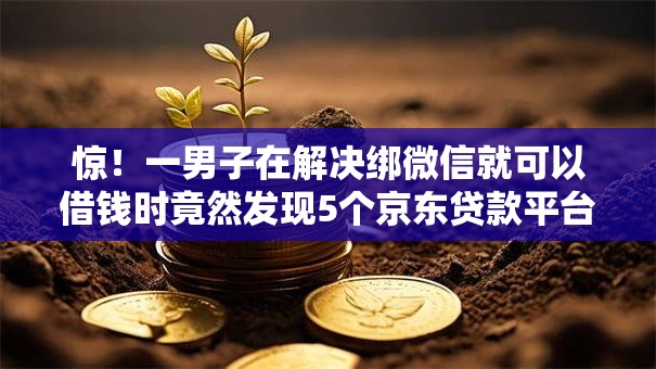 惊！一男子在解决绑微信就可以借钱时竟然发现5个京东贷款平台，事后分享了出来