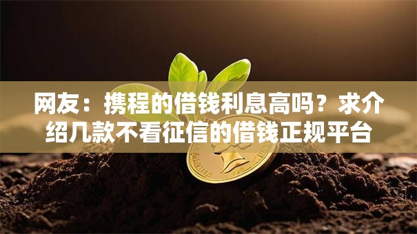 网友：携程的借钱利息高吗？求介绍几款不看征信的借钱正规平台