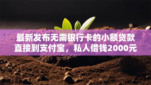 最新发布无需银行卡的小额贷款直接到支付宝,私人借钱2000元有这8个渠道 最新发布无需银行卡的小额贷款直接到支付宝,私人借钱2000元有这8个渠道